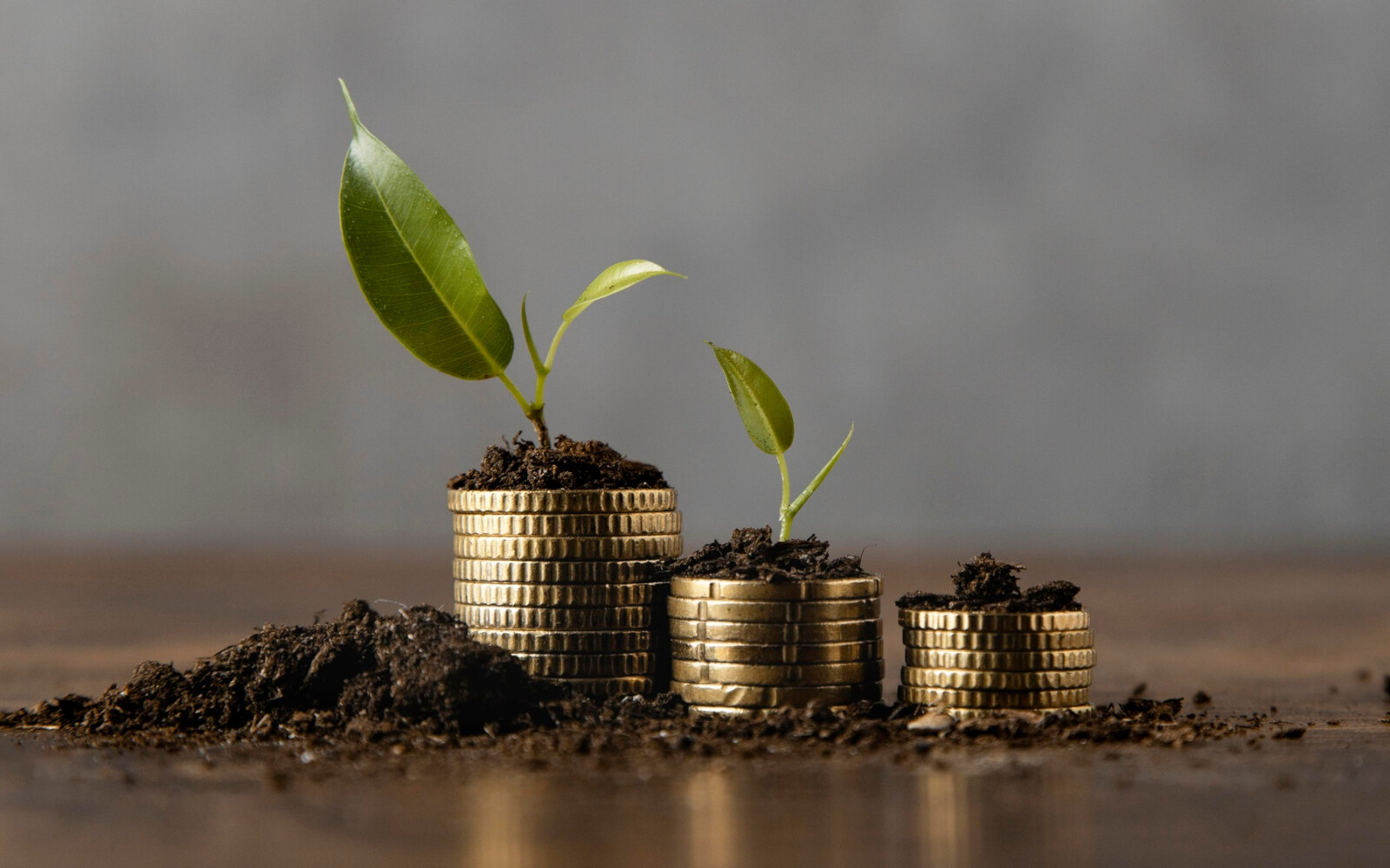 Financing & Investment
