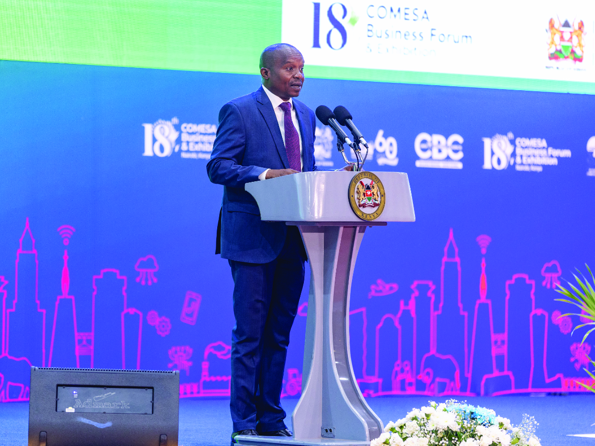 19th COMESA Business Forum